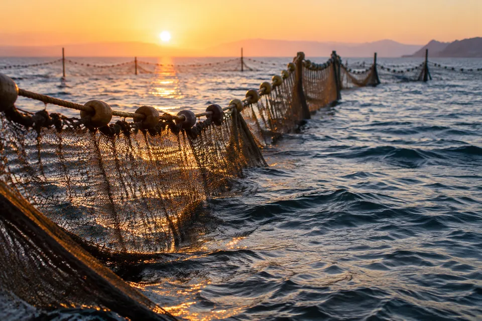 Redes de almadraba junto al agua atlántica al amanecer